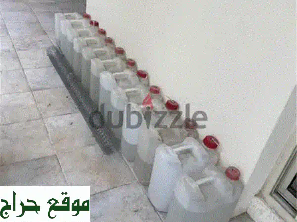 وداعاً للصراصير نهائياً! بودرة برايت الأصلية الفعالة | فقط 3.5 د.ب.