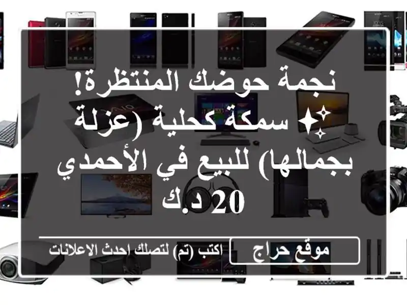 نجمة حوضك المنتظرة! ✨ سمكة كحلية (عزلة بجمالها)...