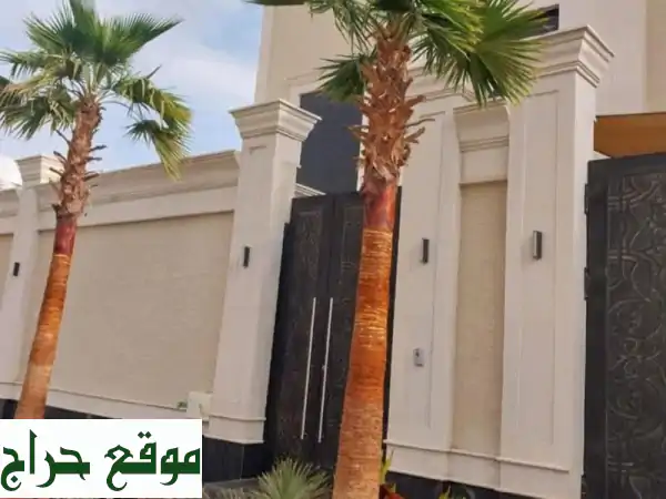 نخل واشنطن أمريكي للزينة | توريد وتوصيل لكافة...