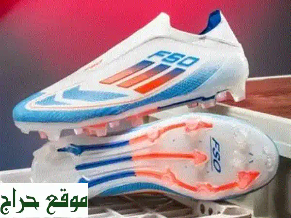 حذاء الجليد