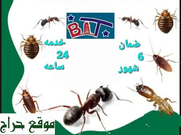 بيت نظيف آمن: مكافحة الحشرات، الزواحف،...