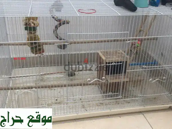 Bird Cage for sale