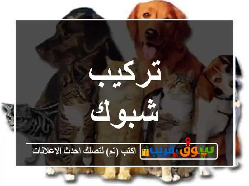 تركيب شبوك