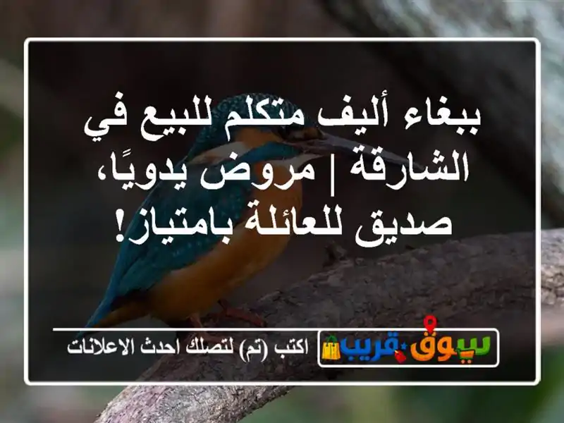 ببغاء أليف متكلم للبيع في الشارقة | مروض يدويًا،...