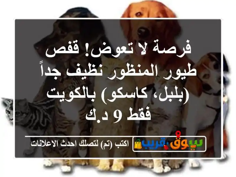 فرصة لا تعوض! قفص طيور المنظور نظيف جداً (بلبل،...