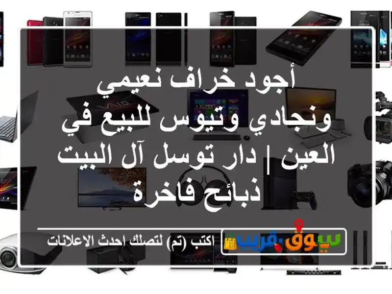 أجود خراف نعيمي ونجادي وتيوس للبيع في العين | دار...