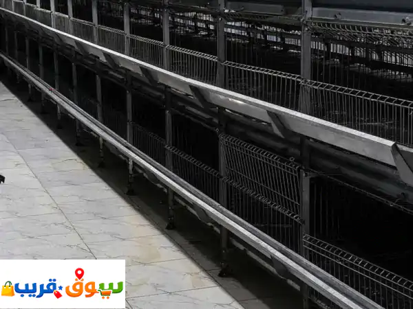 بطاريات دواجن وأرانب وحمام للبيع: الحل الأمثل لزيادة أرباحك وجودتك | تسمين، بياض، سمان
