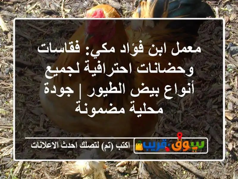 معمل ابن فؤاد مكي: فقاسات وحضانات احترافية لجميع...