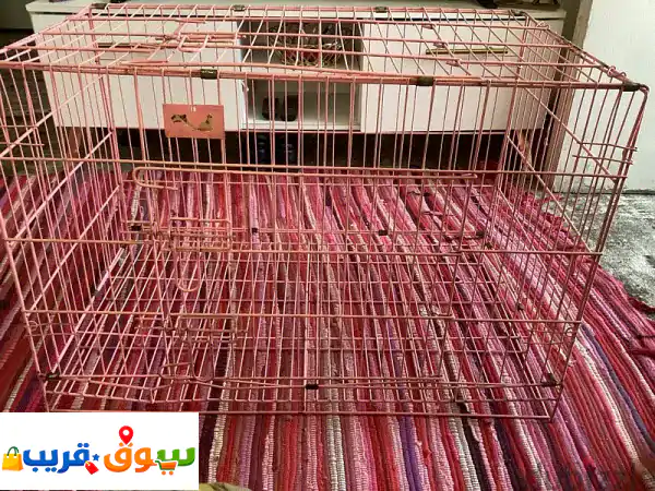 قفص كلاب وقطط حديد قابل للطي - بحالة ممتازة وسعر...