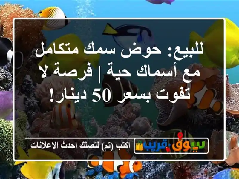 للبيع: حوض سمك متكامل مع أسماك حية | فرصة لا تفوت بسعر...