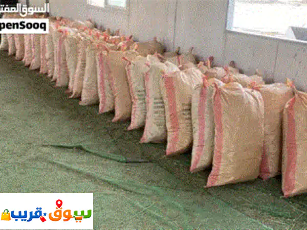 برسيم العبدلي: رطب وناشف (بالات وخياش بأوزان عالية) | توصيل لمواشيك