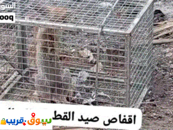 حلول آمنة وفعّالة: أقفاص صيد القطط والثعالب بالخابورة | نقل إنساني بسعر 15 ريال!