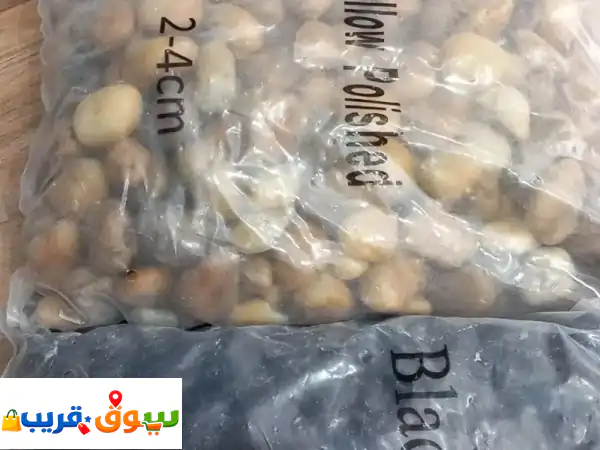 حص وحجر زينة: حوّل حديقتك لملاذ من الجمال والهدوء
