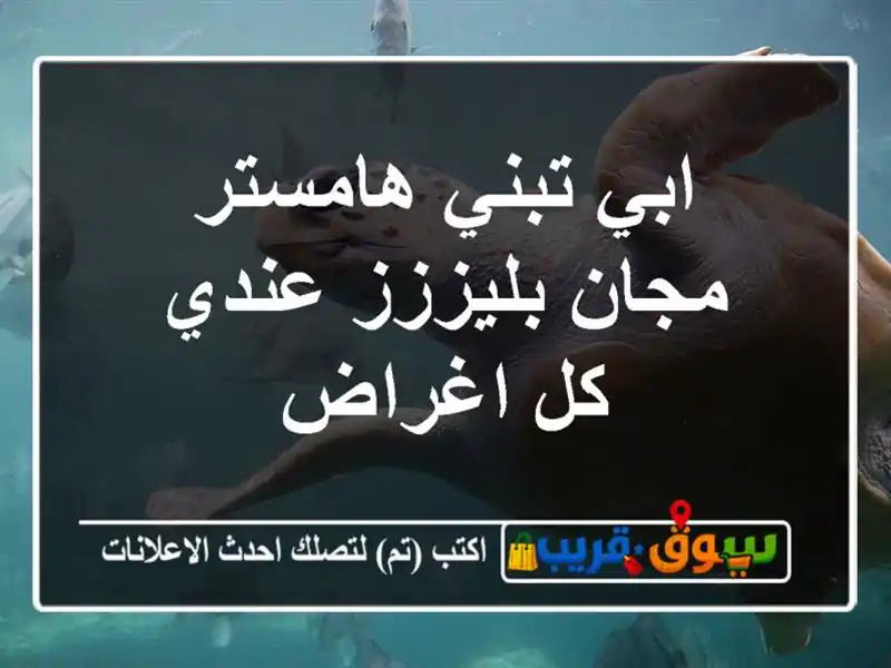 ابي تبني هامستر مجان بليززز عندي كل اغراض
