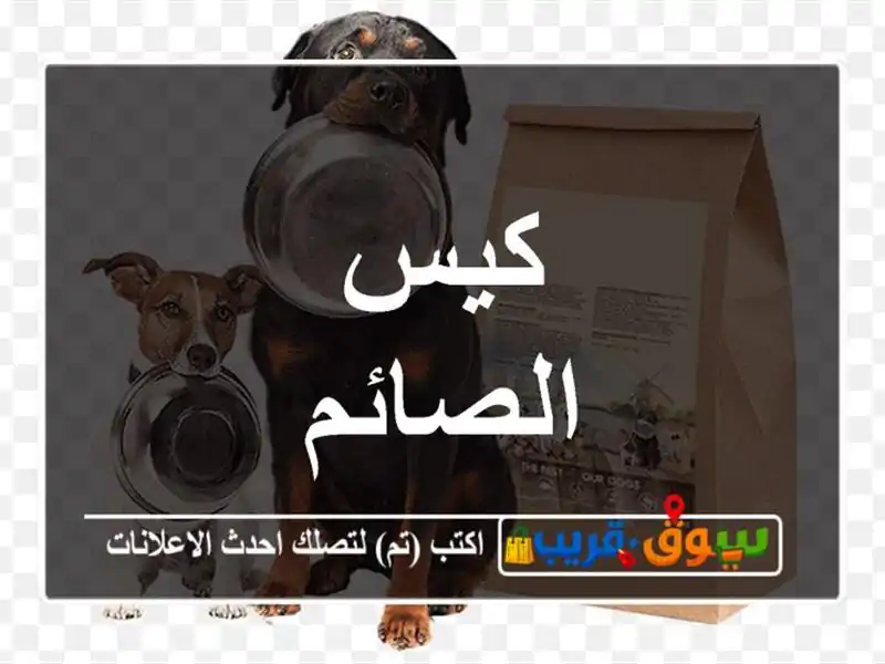 كيس الصائم
