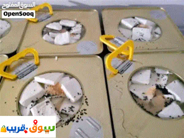 اجبان والبان البركه،حمص حي المهاجرين تمتع ب أطيب مذاق