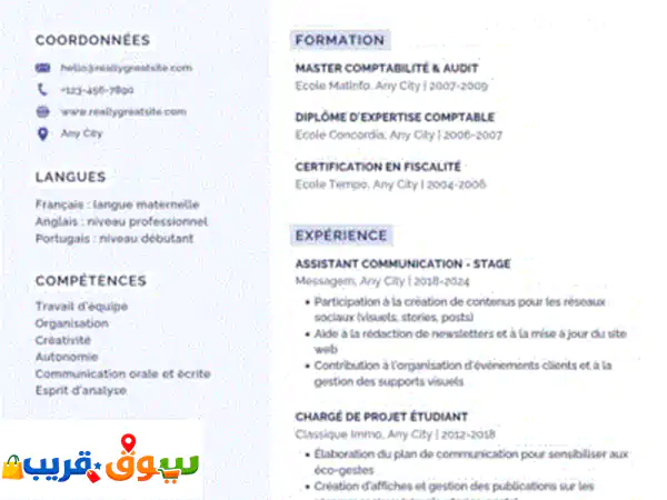 Création de Cv et des cartes pro