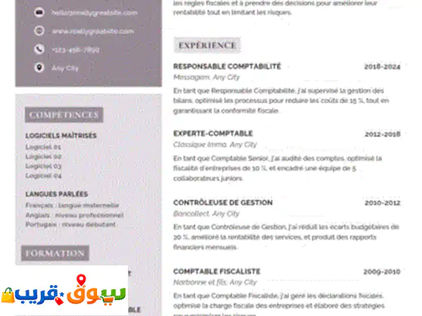 Création de Cv et des cartes pro