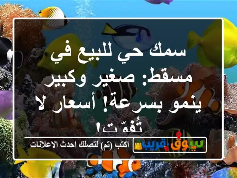 سمك حي للبيع في مسقط: صغير وكبير ينمو بسرعة! أسعار...