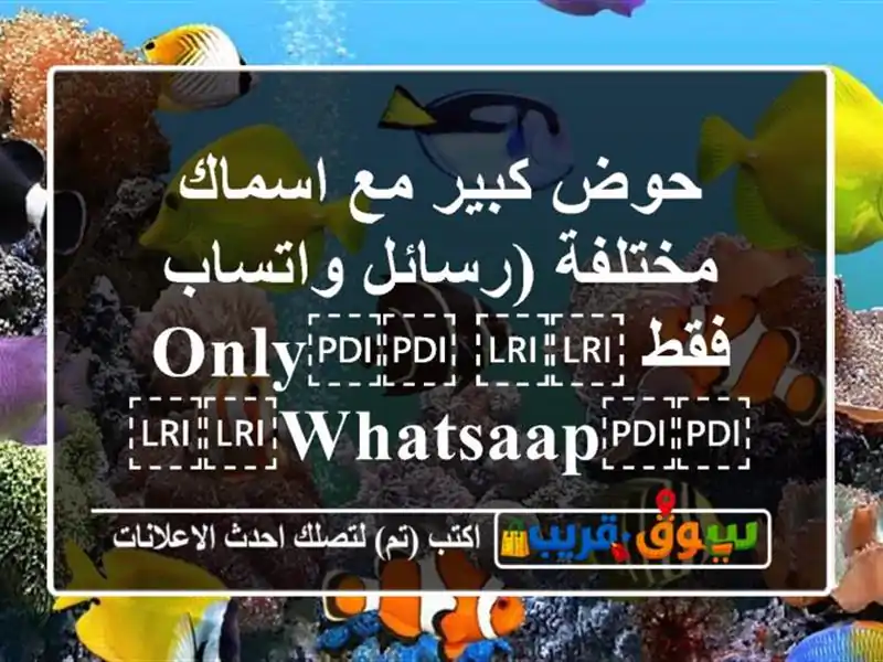 حوض كبير مع اسماك مختلفة (رسائل واتساب فقط...