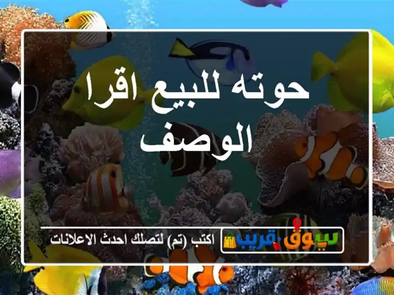 حوته للبيع اقرا الوصف
