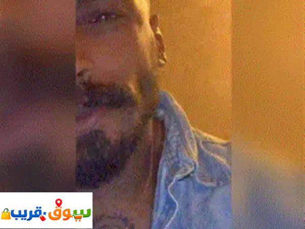 هامستر للبيع