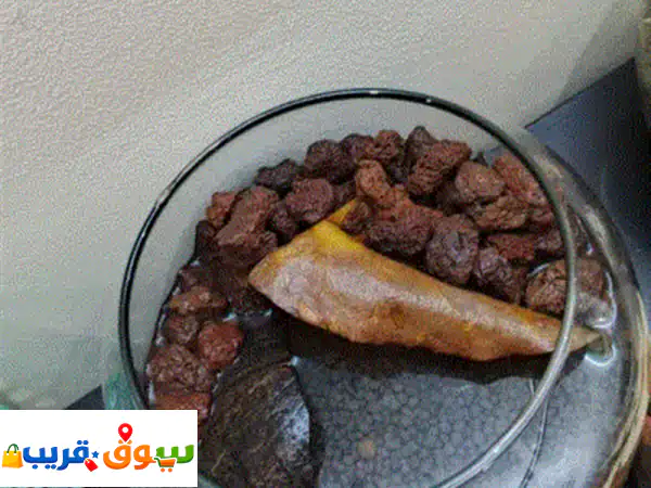 فامباير كراب