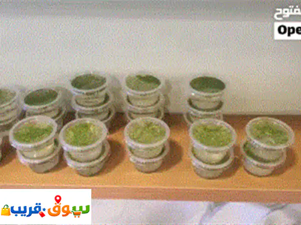 مستلزمات أسماك الزينه بأجود أنواعها