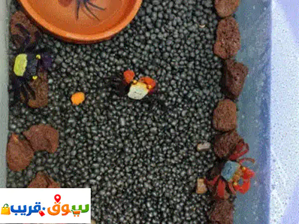 فامباير كراب