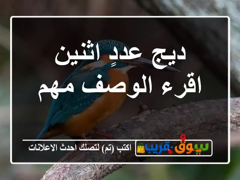 ديج عددٍ اثنين اقرء الوصف مهم