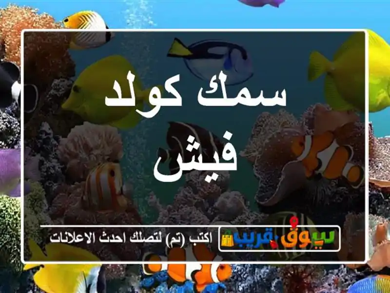 سمك كولد فيش