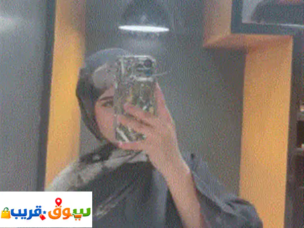 رفيقك المثالي: قطط شيرازي بيور للبيع في صنعاء -...