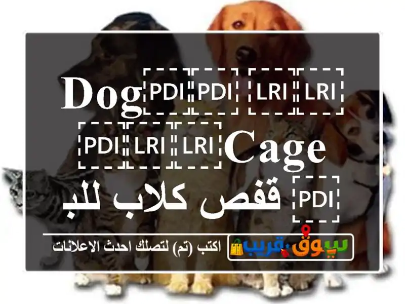 ⁦⁦Dog⁩⁩ ⁦⁦cage⁩⁩ قفص كلاب للبيع