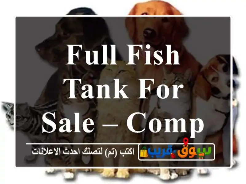 Full Fish Tank for Sale – Complete Setup