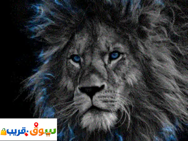 جالكسي ⁦⁦z⁩⁩ ⁦⁦fold⁩⁩ ⁦⁦7⁩⁩