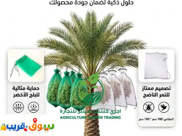 أكياس النخيل الأصلية: بيضاء (100x100 سم) وخضراء (90x70 سم)...