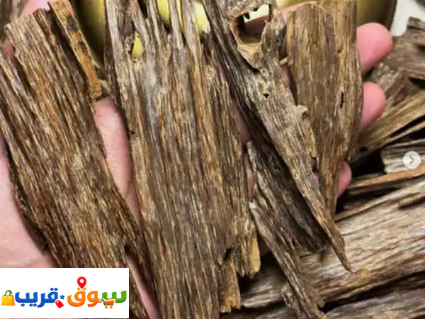 عود هندي سيوفي ناغالاند: عبير زعفران حلو وثبات يومي...