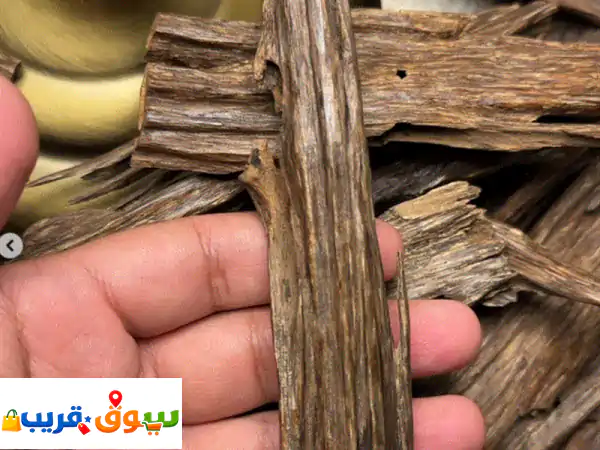 عود هندي سيوفي ناغالاند: عبير زعفران حلو وثبات يومي 50 درهم