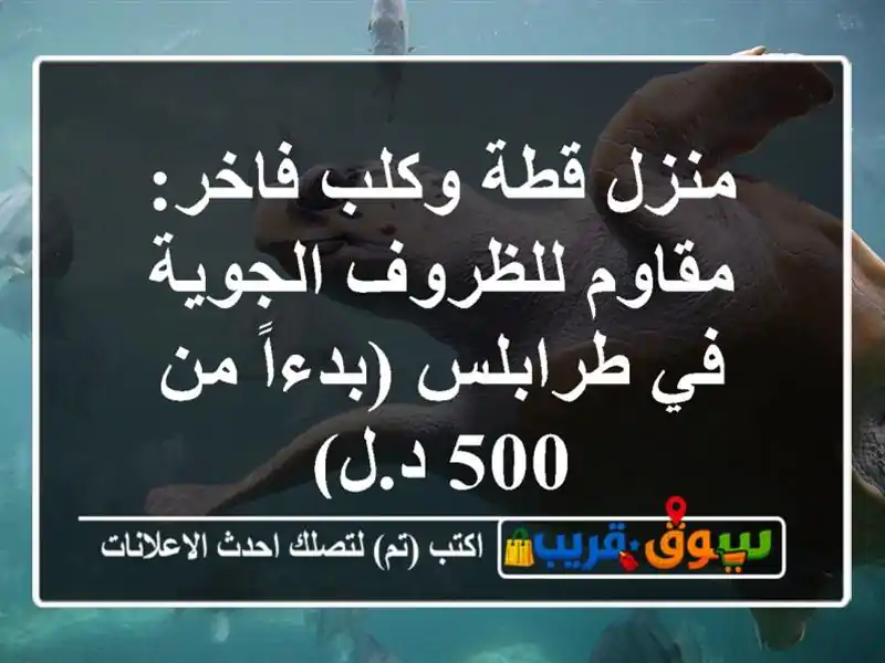 منزل قطة وكلب فاخر: مقاوم للظروف الجوية في...