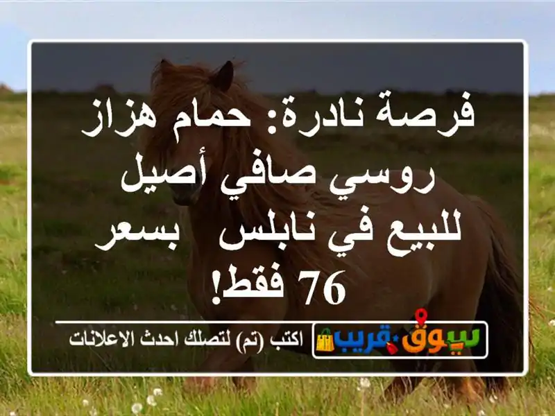 فرصة نادرة: حمام هزاز روسي صافي أصيل للبيع في نابلس...