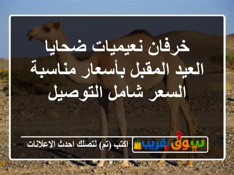 خرفان نعيميات ضحايا العيد المقبل بأسعار مناسبة...