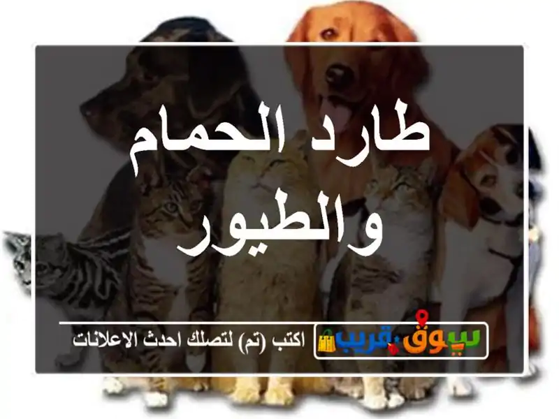 طارد الحمام والطيور