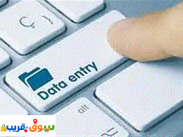 Data Entry & Typist: I work