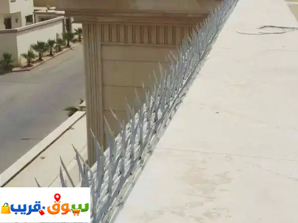 أفضل شركة مكافحة حشرات بالدمام، الجبيل،...