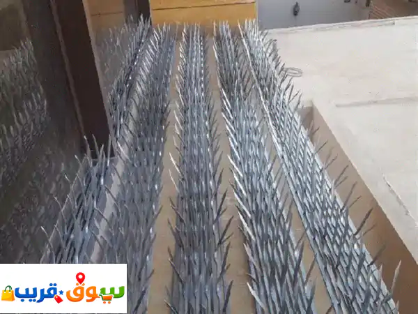 أفضل شركة مكافحة حشرات بالدمام، الجبيل، الخبر، الأحساء، عنك والقطيف | ضمان شامل وفعالية أكيدة.