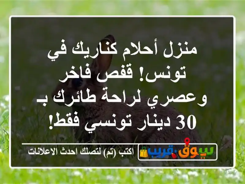 منزل أحلام كناريك في تونس! قفص فاخر وعصري لراحة...