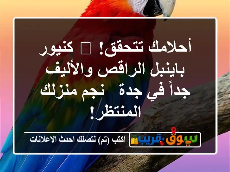 أحلامك تتحقق! 🦜 كنيور باينبل الراقص والأليف جداً...