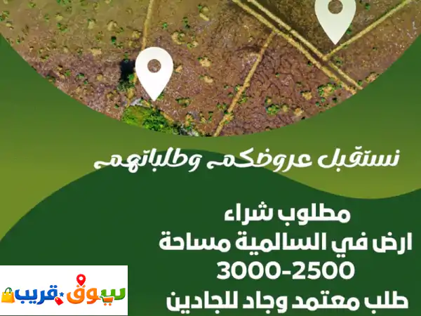 المطور الدولي العقارية: شريكك الأمين في عقارات الكويت | إدارة، بيع، شراء، تطوير