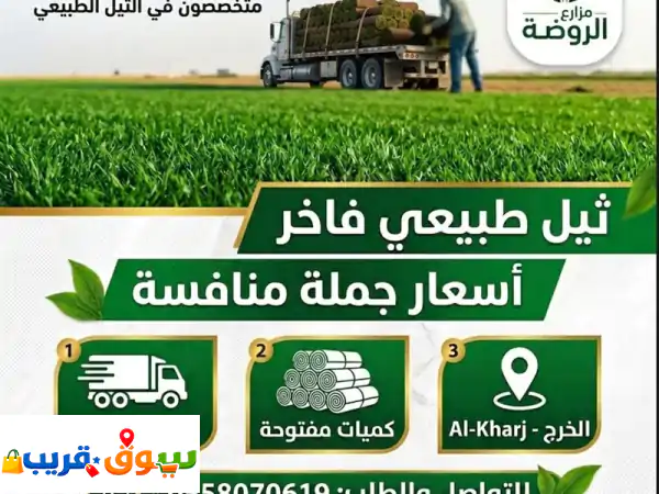 ثيل طبيعي نجيل  سي 2000  فخامة الخضار في مكانك
