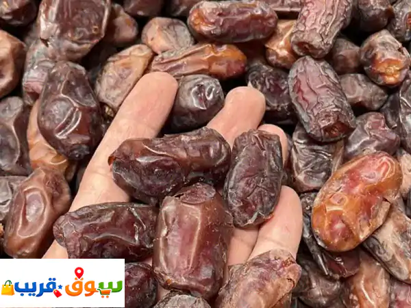 تمور خلاص وخضري فاخرة | خام ومصنع بكميات | مورد موثوق للتوريد
